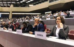 16 May 2019 Prof. Dr Snezana Bogosavljevic Boskovic at the Sixth Session of the Global Platform for Disaster Risk Reduction 